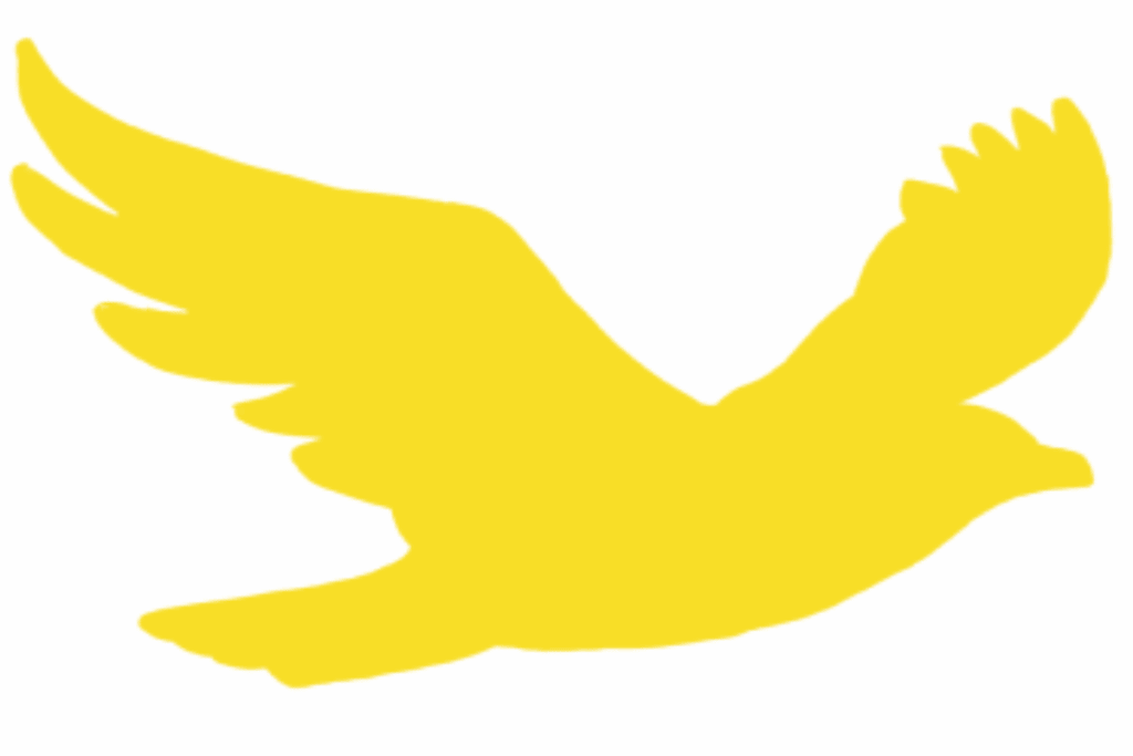 Yellow Bird icon representing airstream services early bird special