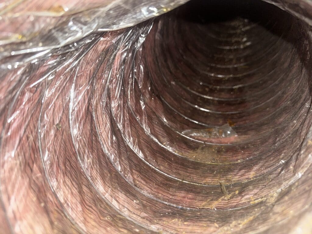 clean ducts after duct cleaning
