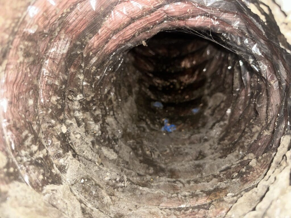 dirty ducts before duct cleaning